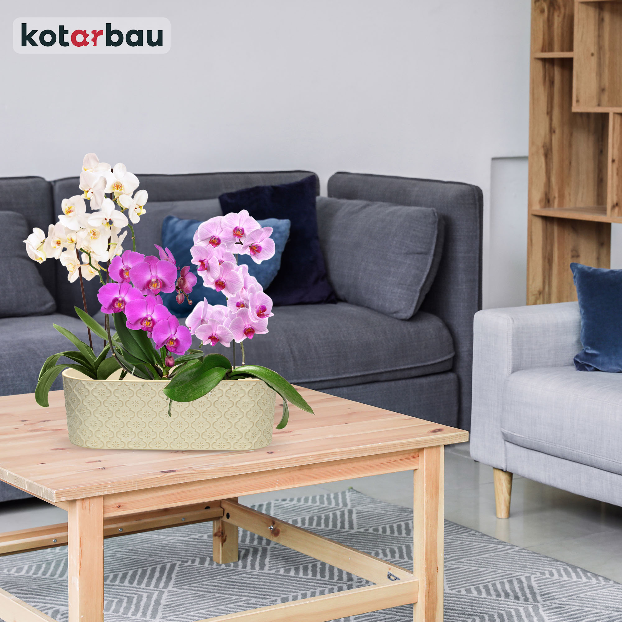 Prezentacja produktu