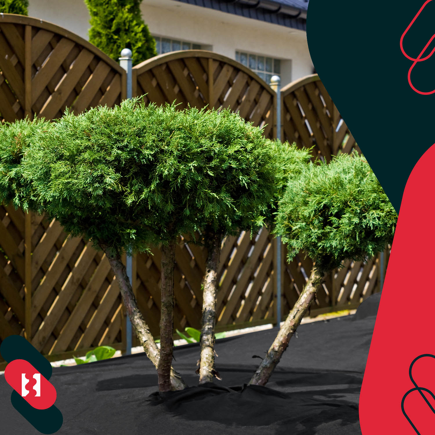 Prezentacja produktu